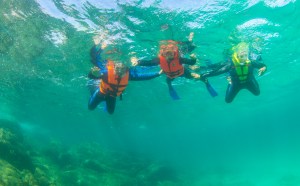 The SilverFish lives up to her name, hemmed in here by mom and dad.