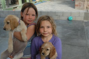 Fistfulls of car-crowding, tent-soiling, clothes-chewing beasts...