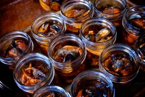 These are, hands down, the most extraordinary fruits of the sea I've ever had.